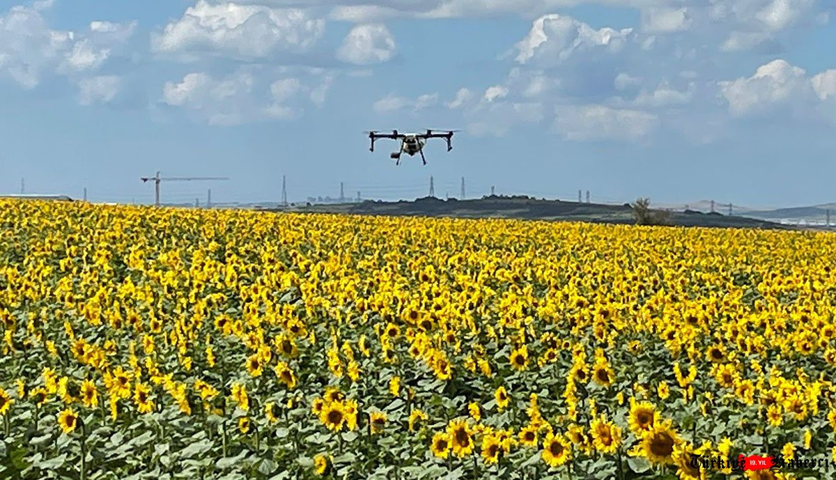 video#Drone ile havadan ayçiçeği tarlalarına ilaçlama yapıldı.