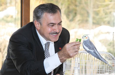 4 Ekim Dünya Hayvanları Koruma Günü 