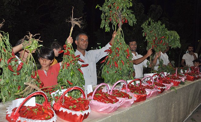 Acı biber koronavirüsle mücadelede etkili