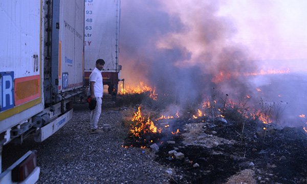 Araçtan atılan izmarit tarlayı kül etti