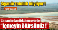 Arena, 49 Yıllığına Resmen Aslan'ın...