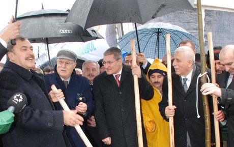 Bakan Veysel Eroğlu ıhlamur fidanı dikti.