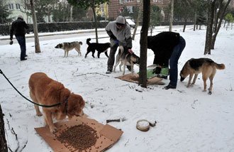Beylikdüzü'nde hayvanlar da unutmuyor