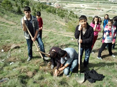 Bilgi Evi Öğrencileri Fidan Dikti