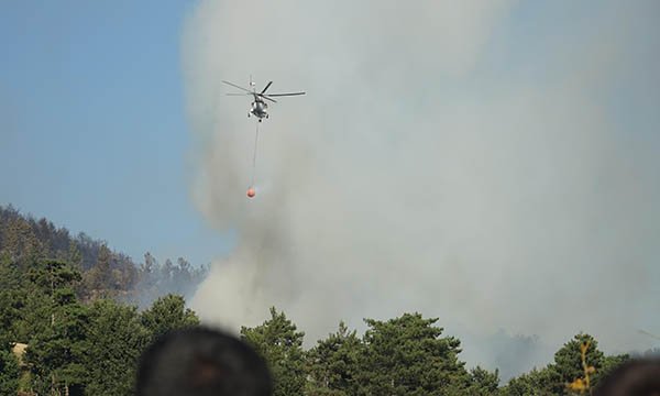 Çanakkale'de orman yangını 