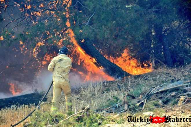 Çanakkale'de Orman Yangınına Hızlı Müdahale Devam Ediyor