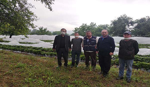 Dolu ve sel, tarlalarda 10 milyon TL zarara neden oldu
