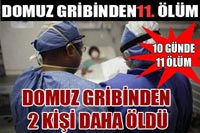 Domuz Gribinden Ölenlerin Sayısı 11 Oldu.