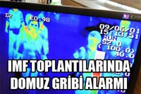 IMF-DB Toplantılarında 'domuz gribi' Alarmı!