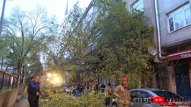 Esenler'de parktaki ağaç, bina ile 2 otomobilin üzerine devrildi