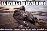 Günde 5 Bin Varil Petrol Sızıyor!