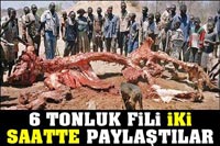 Ölü Fil'i 1 Saat 6 Dakika'da Parça Parça Yaptılar!