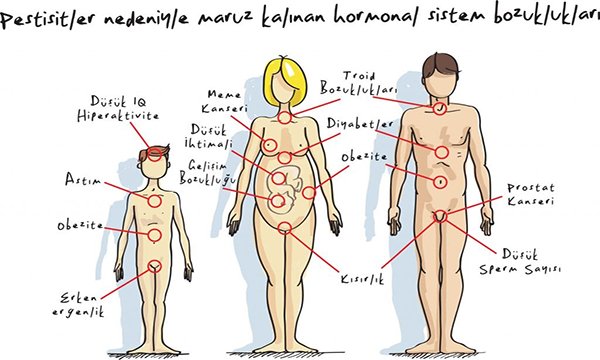 Glifosat ile zehirlenmek zorunda değiliz