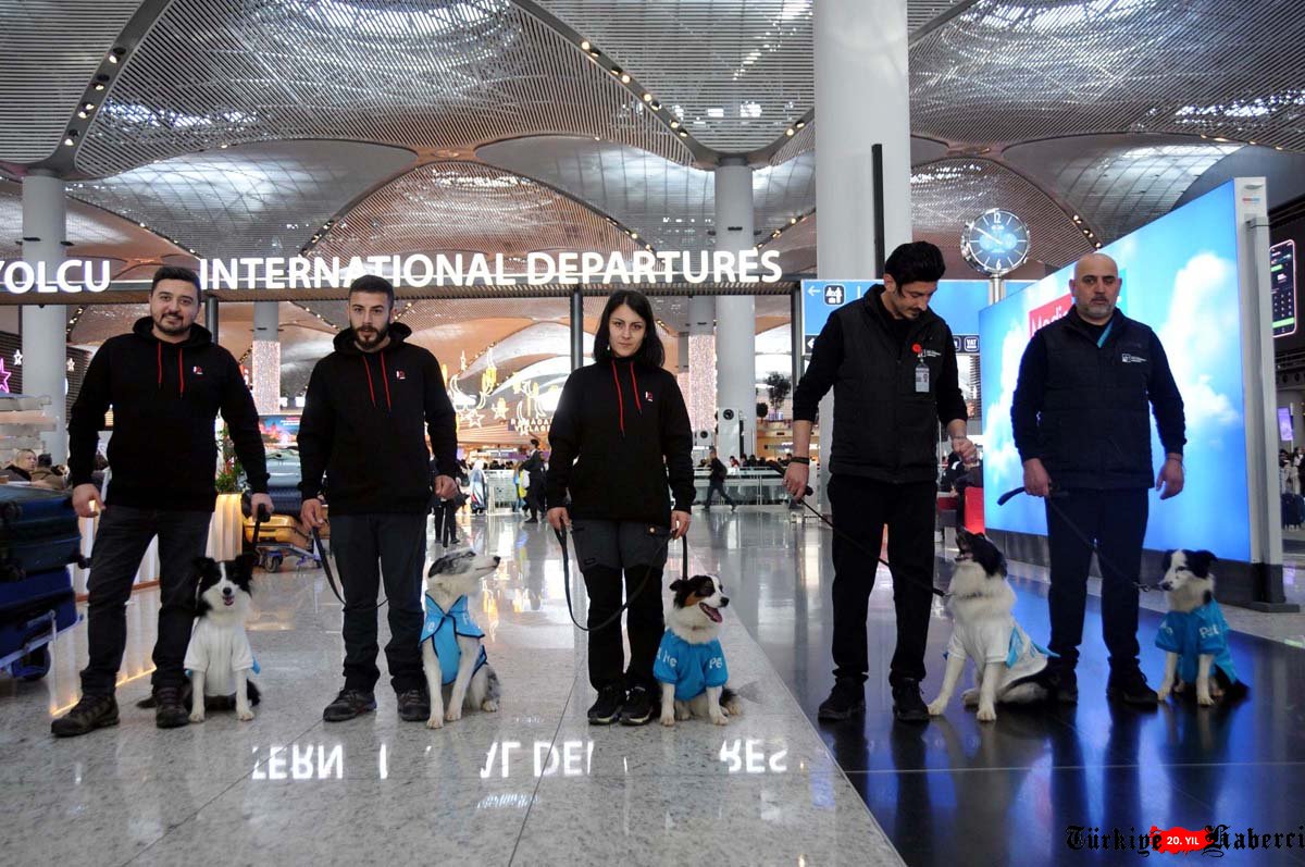 İstanbul Havalimanı'nda Terapi Köpekleri Hizmette