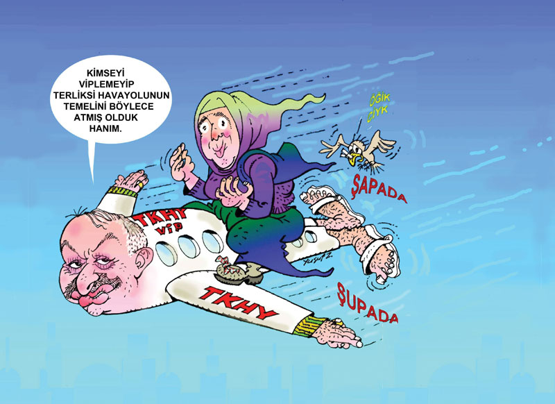 Çizerlere soruşturma  