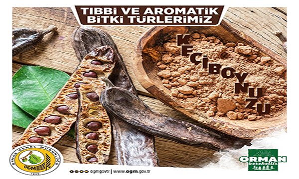 Keçiboynuzu'ndan 30 milyon TL'lik ekonomik katkı
