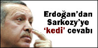 Evcil Hayvanlar Koklayarak Kanseri Tespit Ediyor! 