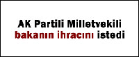 Lolita galaya tek katıldı