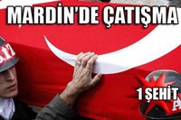 Midyat'da 'Beyaz Karanfil'ler le Karşılandılar