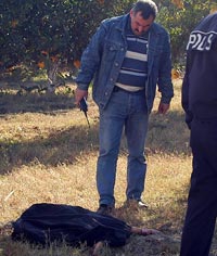 Kız çocuğunu köpekler öldürdü 
