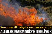 Ordu 