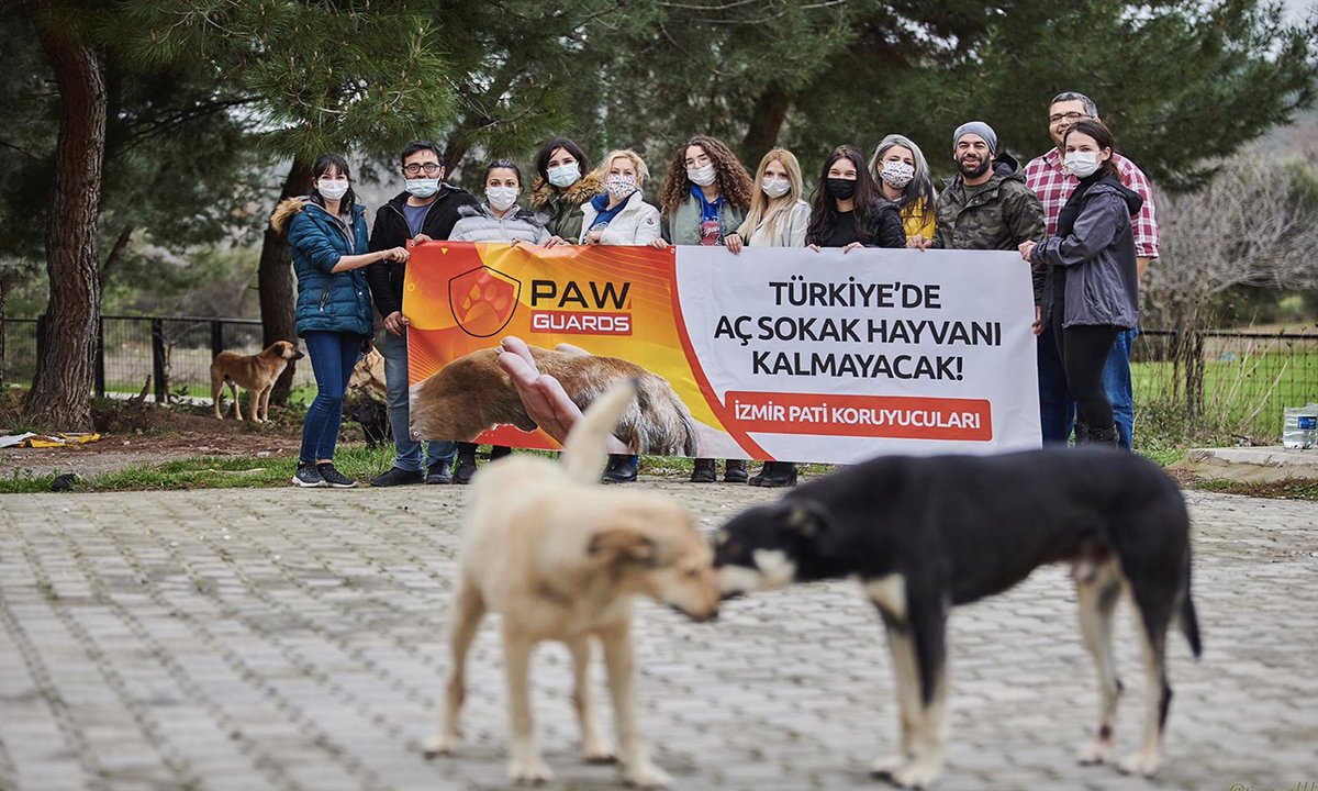 ‘Paw Guards’ ile can dostlarımız sahipsiz kalmıyor!