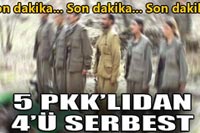 Daha Önce'de 29 PKK'lı Serbest Bırakılmıştı!