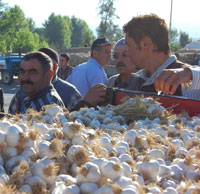 Sarımsak elde kaldı