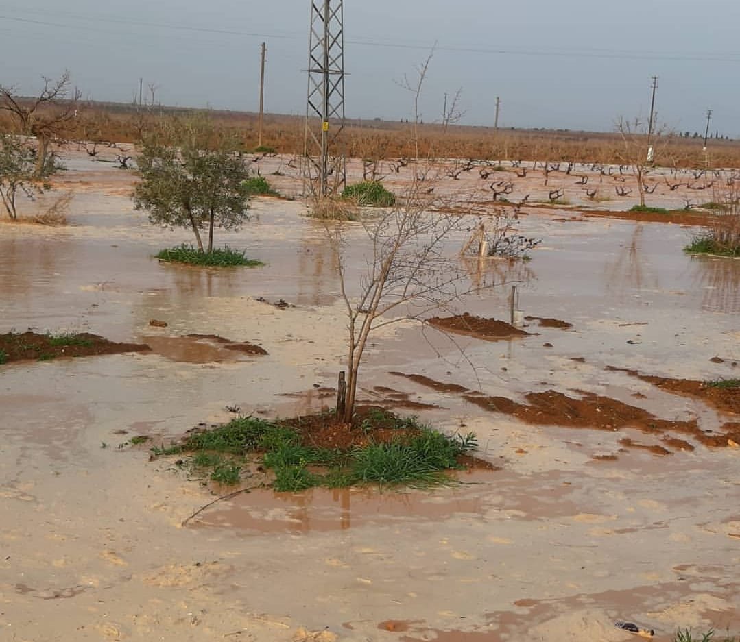 Sel tarım arazilerinde hasara yol açtı