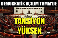 Mecliste Tetikci-Darbeci Polemiği!