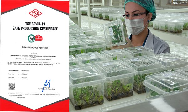 Tekfen Tarım TSE COVID-19 Güvenli Üretim Sertifikası’nı aldı
