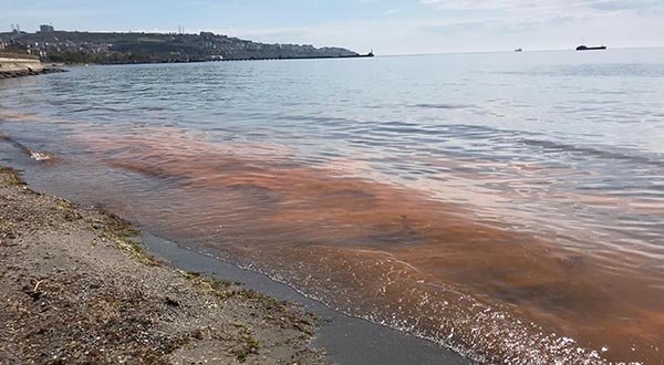 Tekirdağ sahilleri yeniden turuncu renge büründü