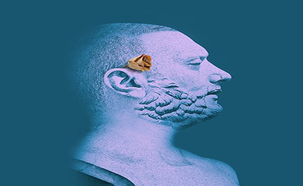 Tüm çiçekli şiirler sana