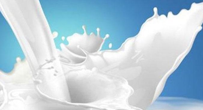 Üreticilere 'çiğ süt' desteği