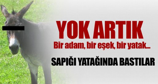 Utanmaz Adam, Eşekle Aynı Yatakta Yakalandı! 