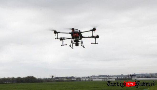  Ziraat'in buğday tarlası, dron yardımıyla gübrelendi